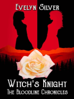 Witch's Knight