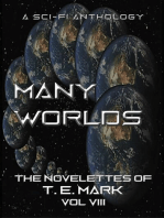 Many Worlds