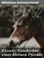 Riesele: Geschichte eines kleinen Pferdes
