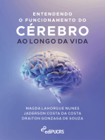 Entendendo o funcionamento do cérebro ao longo da vida