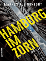Hamburg im Zorn: Thriller