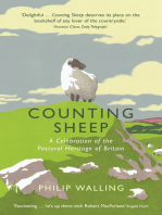 Counting Sheep