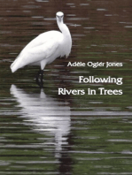 Following Rivers in Trees