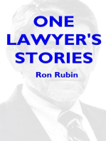 One Lawyer's Stories