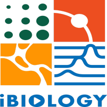iBiology Podcast