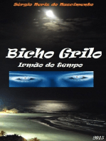 Bicho Grillo - "irmão Do Tempo"