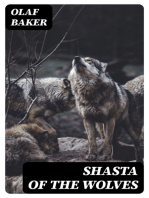 Shasta of the Wolves