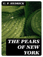 The Pears of New York