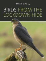 Birds From The Lockdown Hide