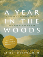 A Year in the Woods