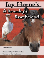 A Brumby's Best Friend