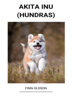 Akita Inu (Hundras)