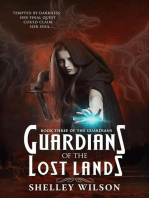 Guardians of the Lost Lands: The Guardians, #3