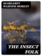 The Insect Folk