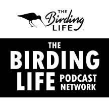 The Birding Life Podcast