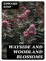 Wayside and Woodland Blossoms: A Pocket Guide to British Wild-flowers for the Country Rambler