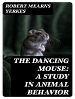 The Dancing Mouse