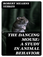 The Dancing Mouse: A Study in Animal Behavior