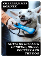 Notes on Diseases of Swine, Sheep, Poultry and the Dog: Cause, Symptoms and Treatments