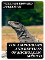 The Amphibians and Reptiles of Michoacán, México