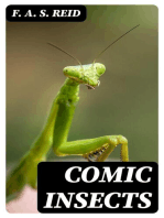 Comic Insects