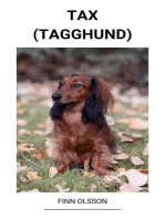 Tax (Tagghund)