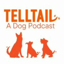 Telltail Dog