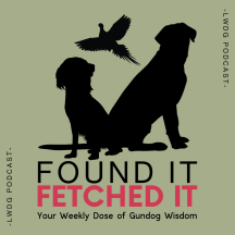 Found It, Fetched It - Your Weekly Dose of Gundog Wisdom from the LWDG