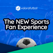 The New Sports Fan Experience