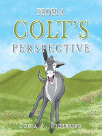 From a Colt’s Perspective