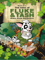 Robin Hood Adventure: The Tales of Fluke and Tash, #1