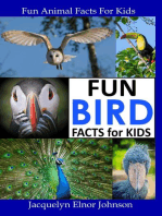 Fun Bird Facts for Kids: Fun Animal Facts For Kids