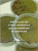 Inoculação Do Fungo Aspergillus Flavus Em Sementes De Amendoim