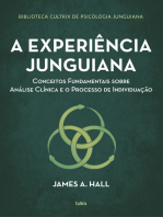 A experiência junguiana: Conceitos fundamentais sobre análise clínica e o processo de individuação
