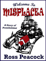 Welcome to Misplacea