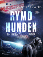 Rymdhunden