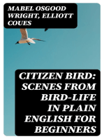 Citizen Bird