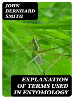 Explanation of Terms Used in Entomology