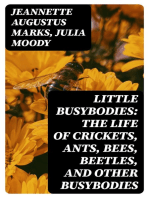 Little Busybodies: The Life of Crickets, Ants, Bees, Beetles, and Other Busybodies