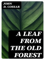 A Leaf from the Old Forest