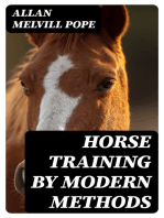 Horse Training by Modern Methods