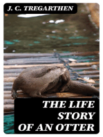 The Life Story of an Otter