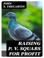 Raising P. V. Squabs for Profit