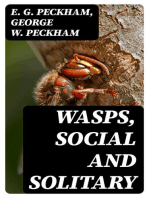 Wasps, Social and Solitary