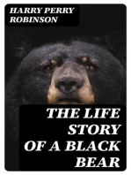 The Life Story of a Black Bear