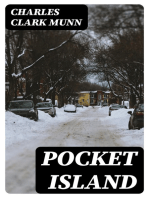 Pocket Island: A Story of Country Life in New England