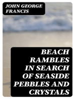 Beach Rambles in Search of Seaside Pebbles and Crystals: With Some Observations on the Origin of the Diamond and Other Precious Stones