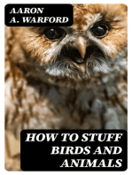 How to Stuff Birds and Animals: A valuable book giving instruction in collecting, preparing, mounting, and preserving birds, animals, and insects