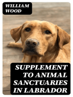 Supplement to Animal Sanctuaries in Labrador