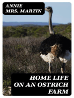 Home Life on an Ostrich Farm